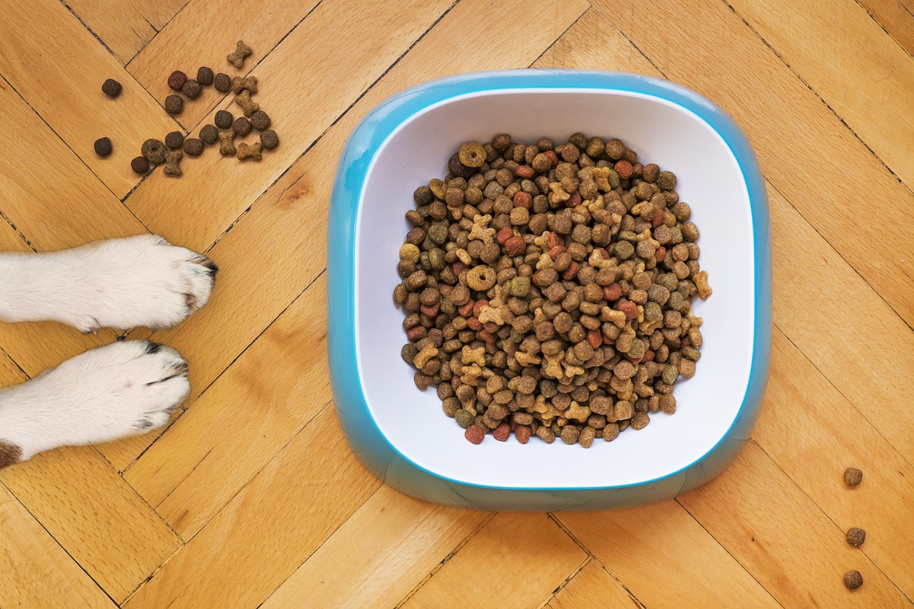 Unveiling the Nutritional Marvels of Science Hill Dog Food